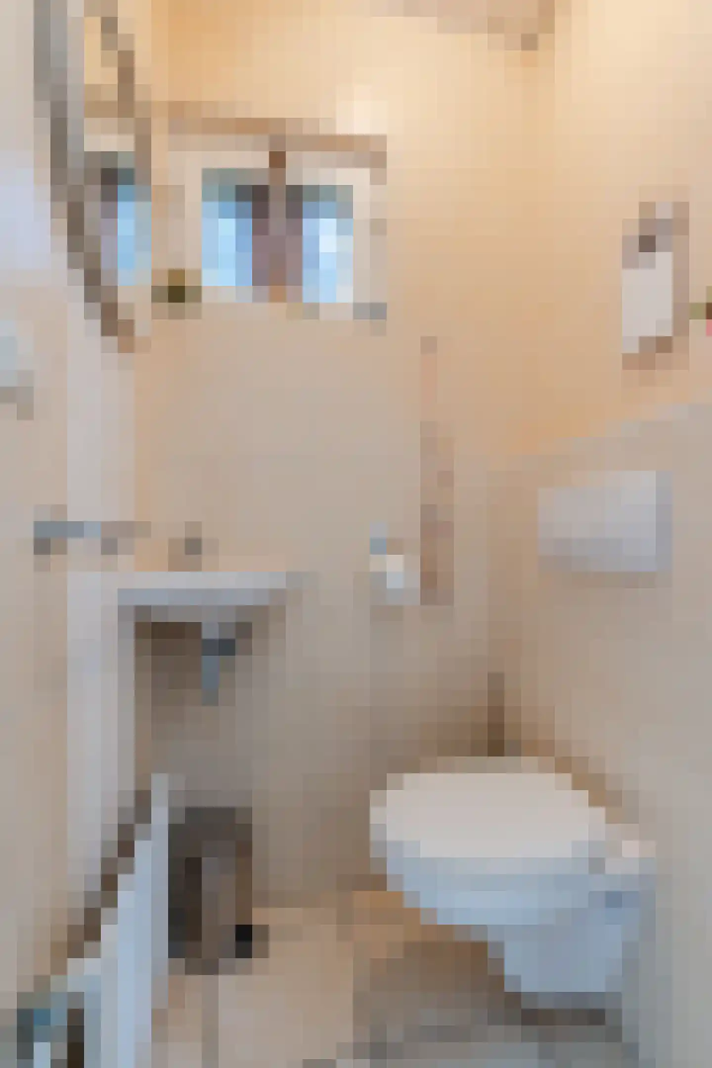 Gezellestraat 17 Gemert thumbnail 7
