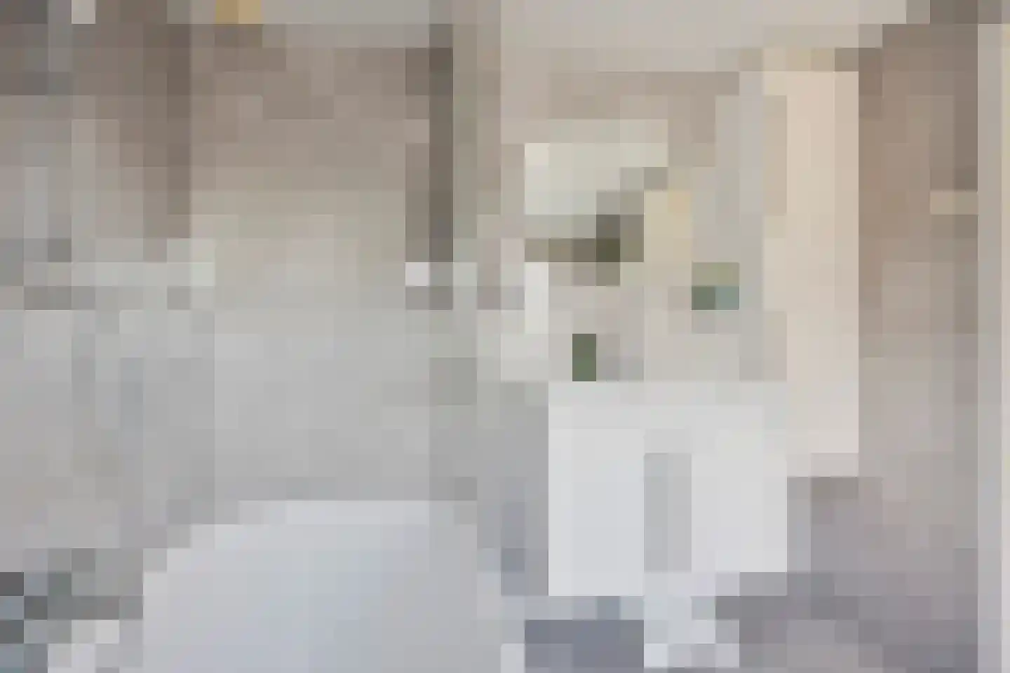 Gezetstraat 12 Andel thumbnail 21