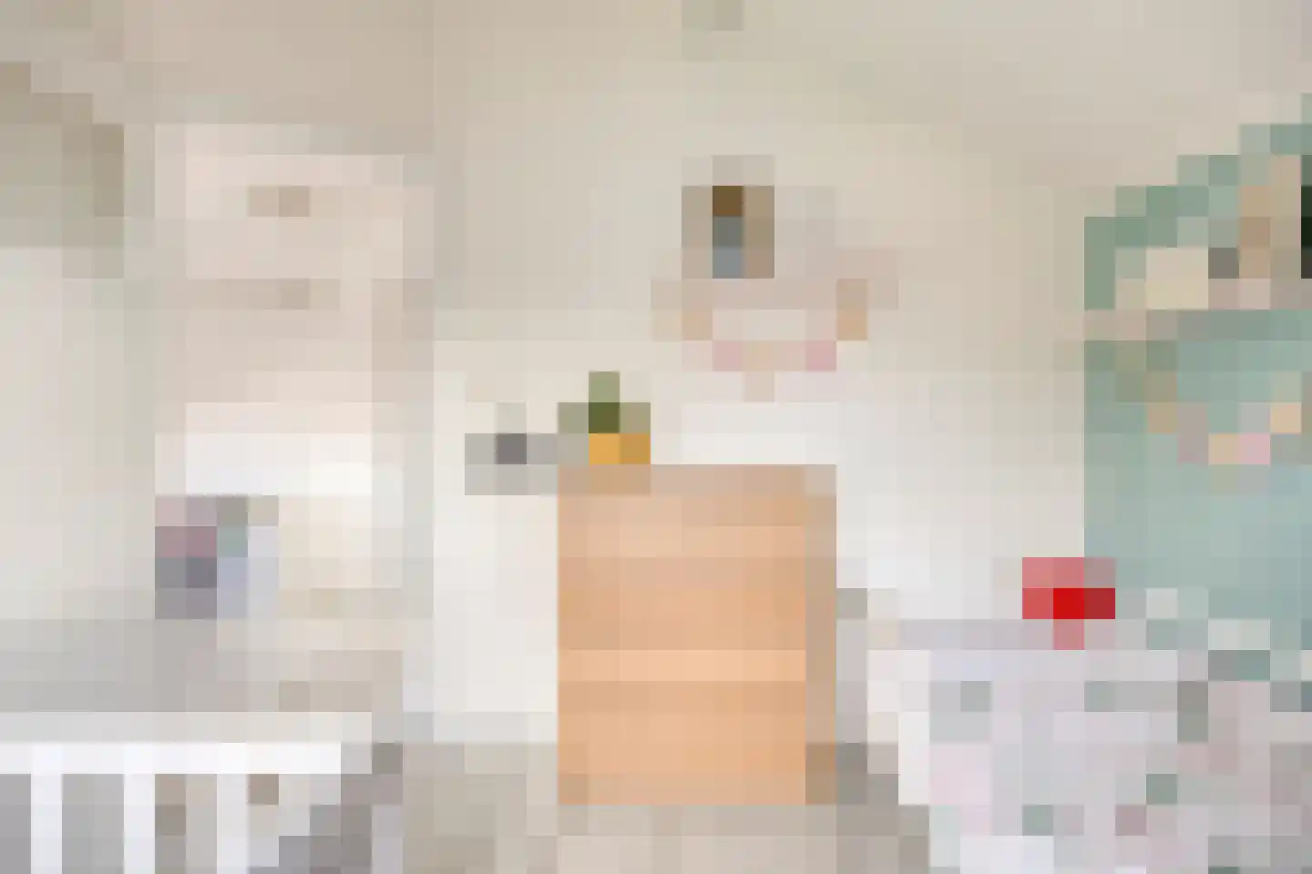 Gezetstraat 12 Andel thumbnail 27