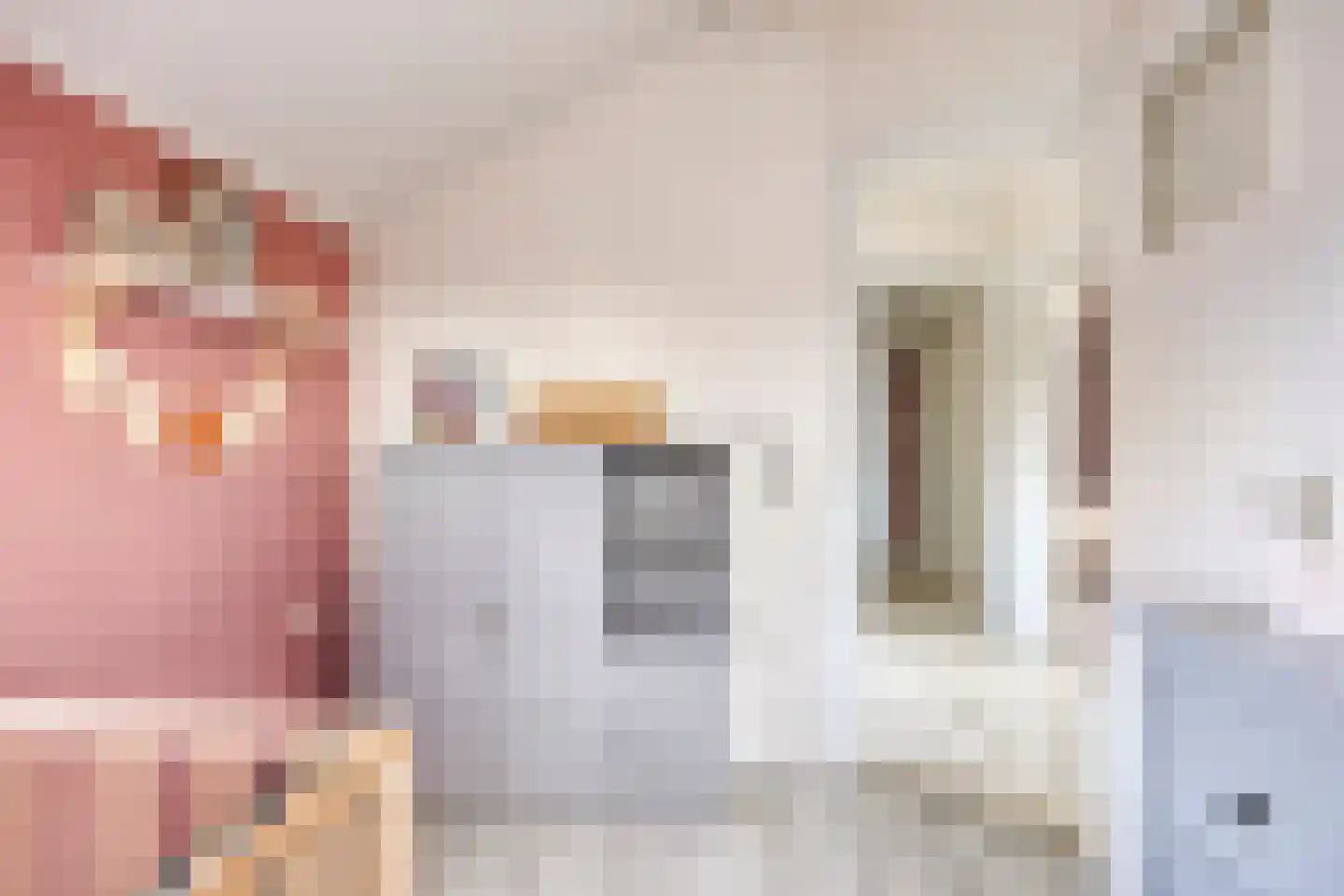 Gezetstraat 12 Andel thumbnail 29