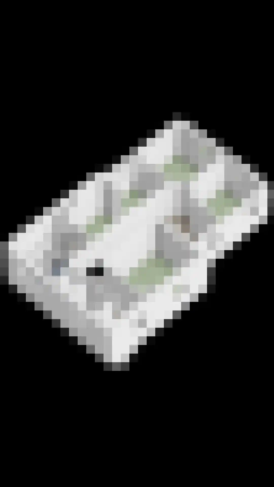 Gezetstraat 12 Andel thumbnail 40