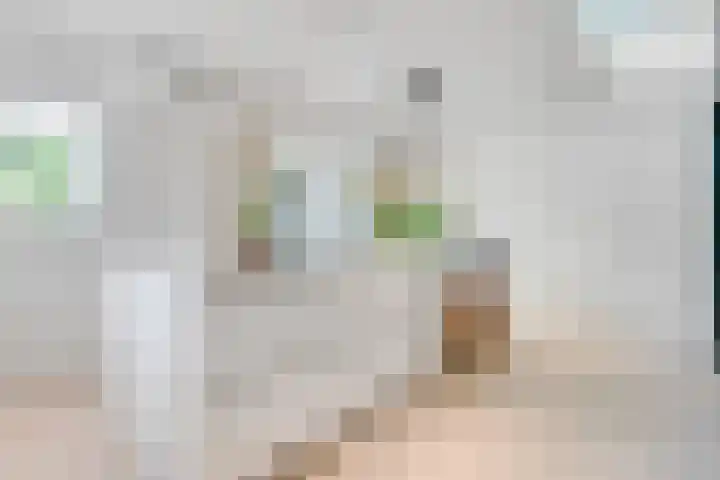 Gezichtslaan 17 Doorn thumbnail 23