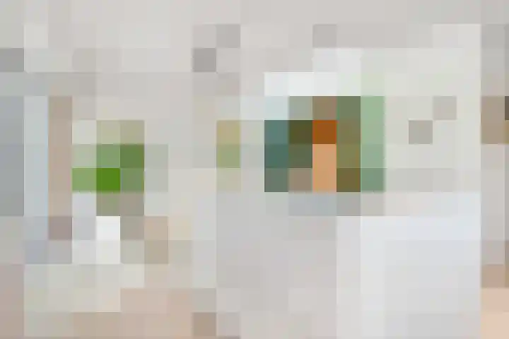 Gezichtslaan 17 Doorn thumbnail 24