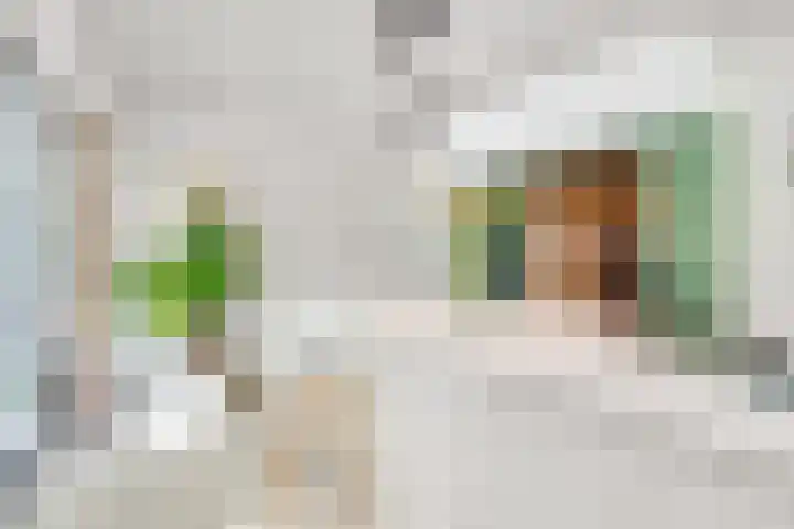 Gezichtslaan 17 Doorn thumbnail 25
