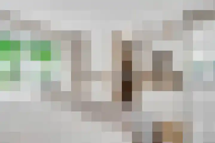 Gezichtslaan 17 Doorn thumbnail 38