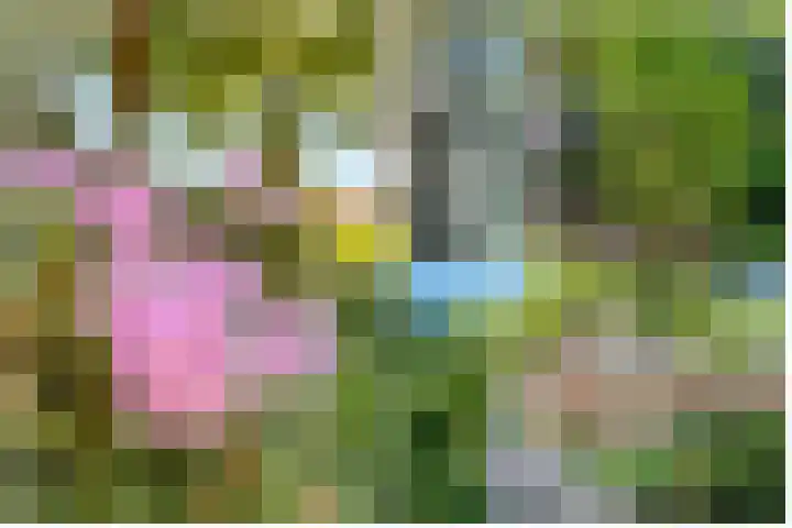 Gezichtslaan 17 Doorn thumbnail 4