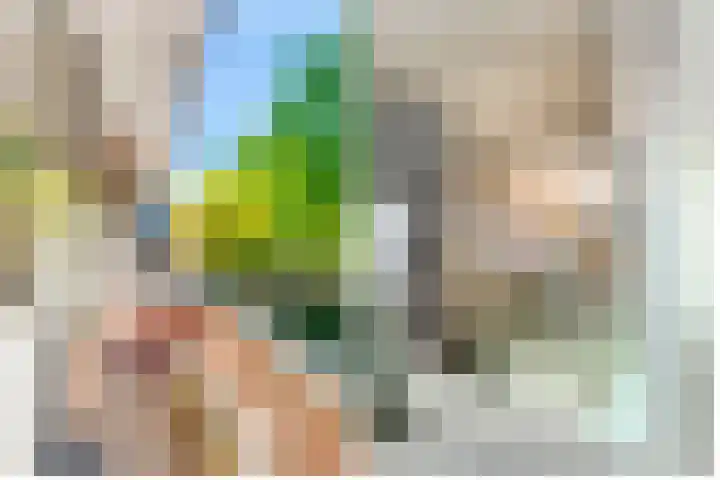 Gezichtslaan 17 Doorn thumbnail 40