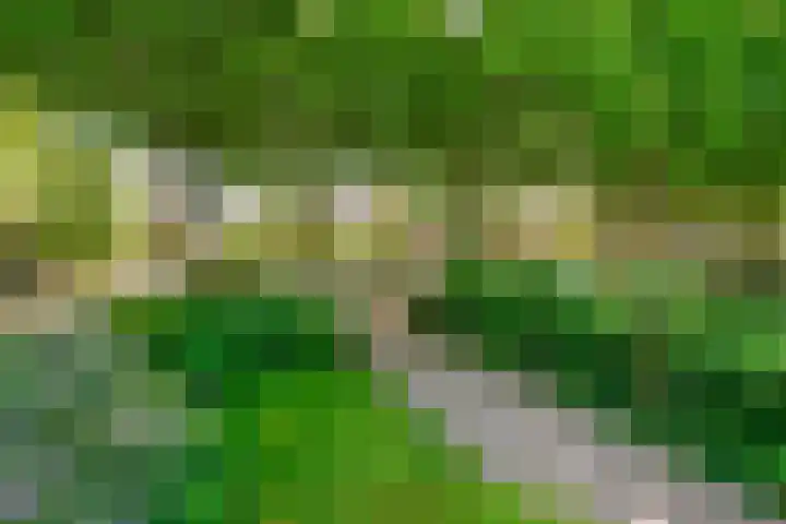Gezichtslaan 17 Doorn thumbnail 46