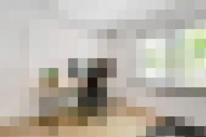 Gezichtslaan 17 Doorn thumbnail 48
