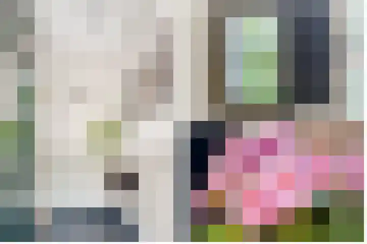 Gezichtslaan 17 Doorn thumbnail 5