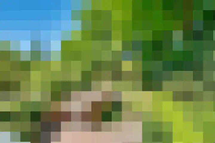 Gezichtslaan 17 Doorn thumbnail 50