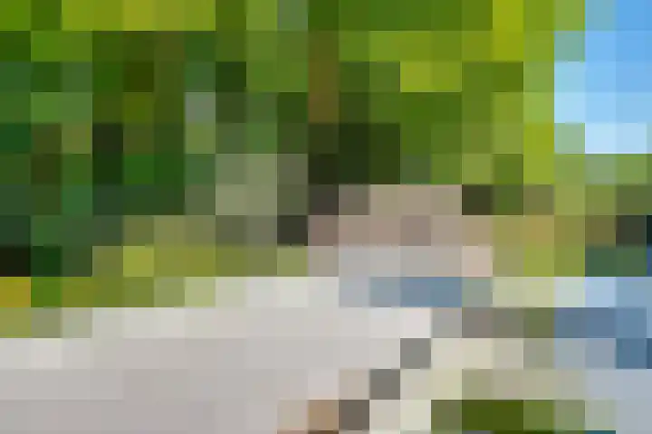 Gezichtslaan 17 Doorn thumbnail 52