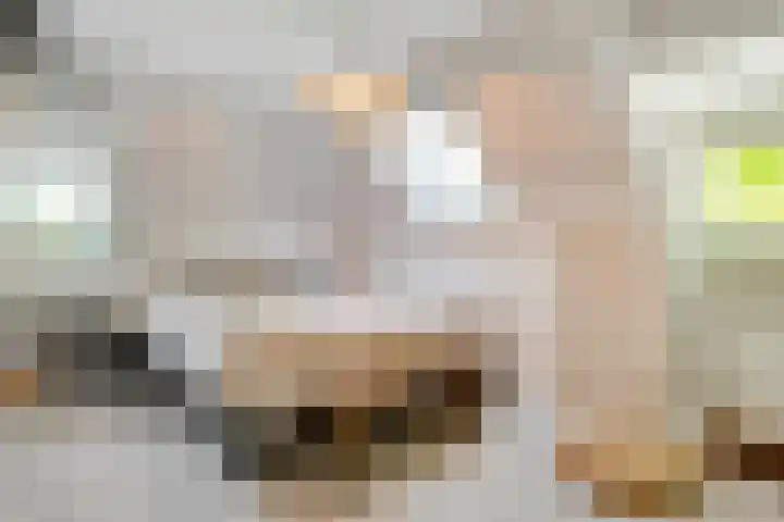 Gezichtslaan 17 Doorn thumbnail 57
