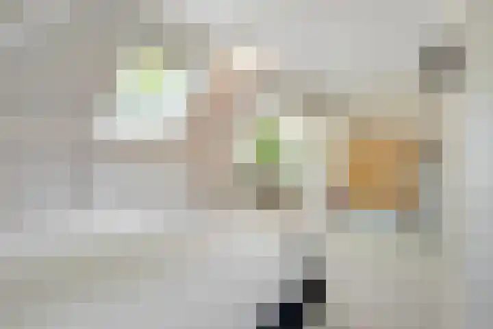 Gezichtslaan 17 Doorn thumbnail 58