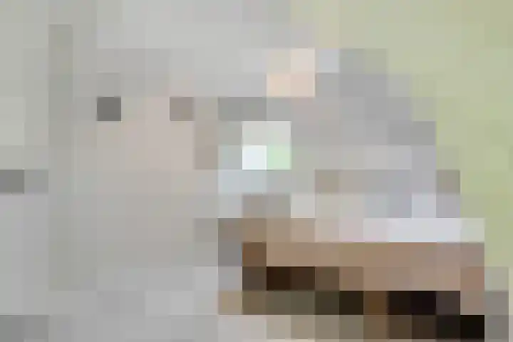 Gezichtslaan 17 Doorn thumbnail 59