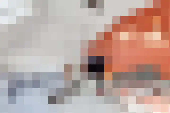Gezichtslaan 17 Doorn thumbnail 64