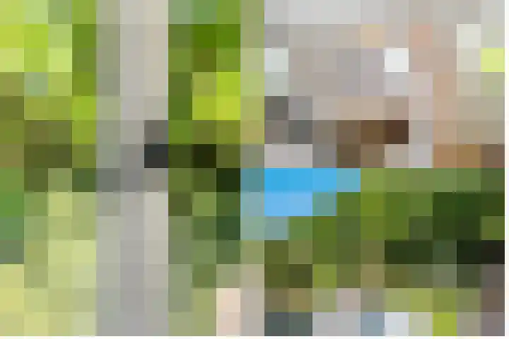 Gezichtslaan 17 Doorn thumbnail 67