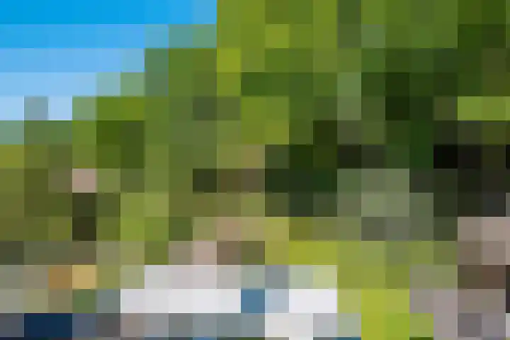 Gezichtslaan 17 Doorn thumbnail 68