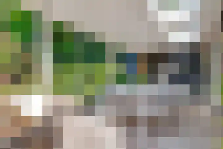 Gezichtslaan 17 Doorn thumbnail 69