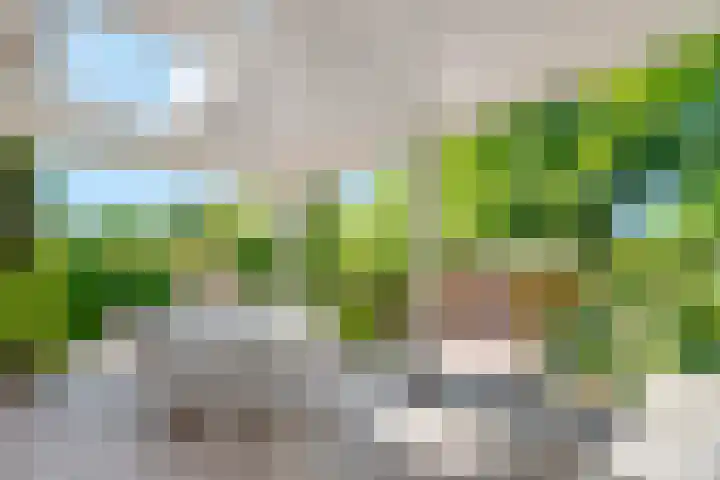 Gezichtslaan 17 Doorn thumbnail 70