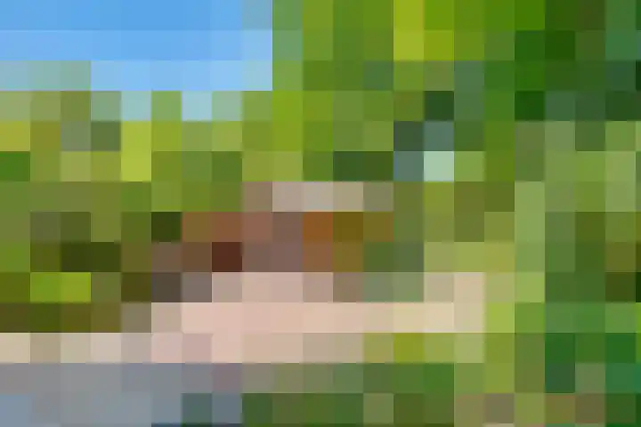 Gezichtslaan 17 Doorn thumbnail 71