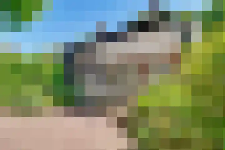 Gezichtslaan 17 Doorn thumbnail 72