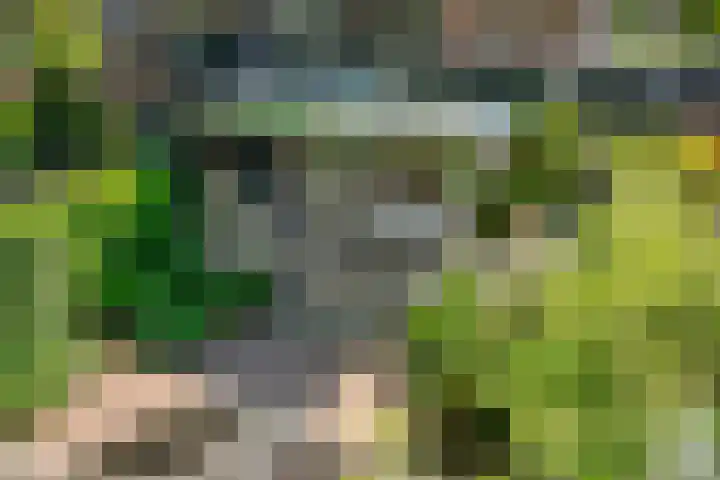 Gezichtslaan 17 Doorn thumbnail 74
