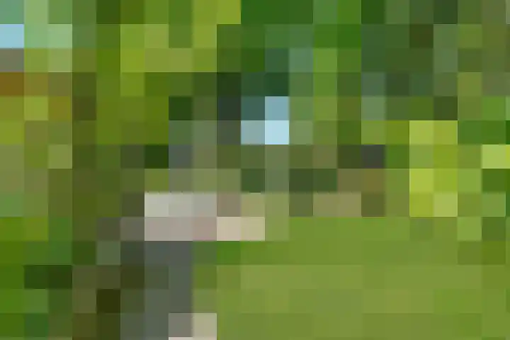 Gezichtslaan 17 Doorn thumbnail 75