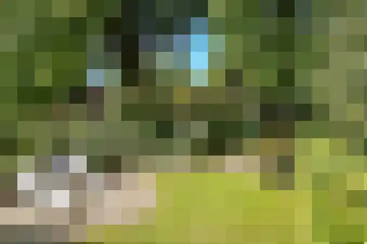 Gezichtslaan 17 Doorn thumbnail 76