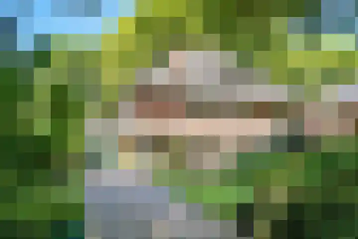 Gezichtslaan 17 Doorn thumbnail 81