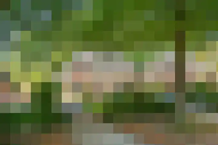 Gezichtslaan 17 Doorn thumbnail 82