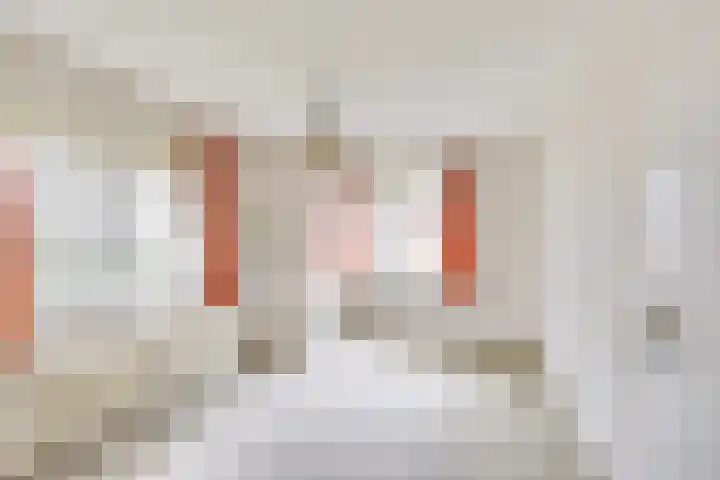 Gezichtslaan 27 Doorn thumbnail 22