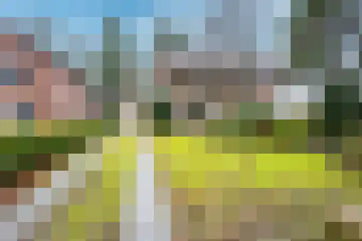 Gezichtslaan 27 Doorn thumbnail 32