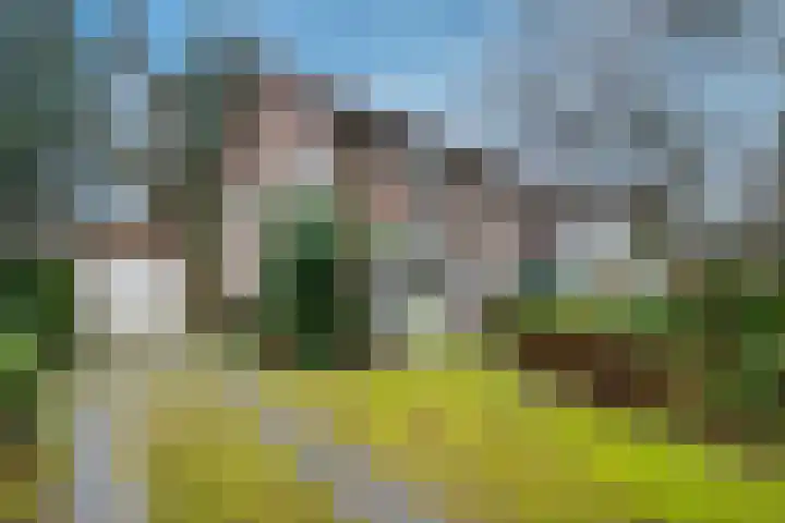 Gezichtslaan 27 Doorn thumbnail 33