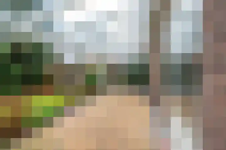Gezichtslaan 27 Doorn thumbnail 34