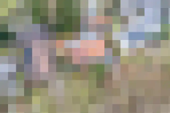 Gezichtslaan 27 Doorn thumbnail 37