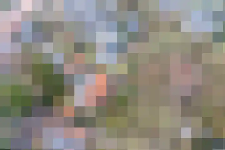 Gezichtslaan 27 Doorn thumbnail 38