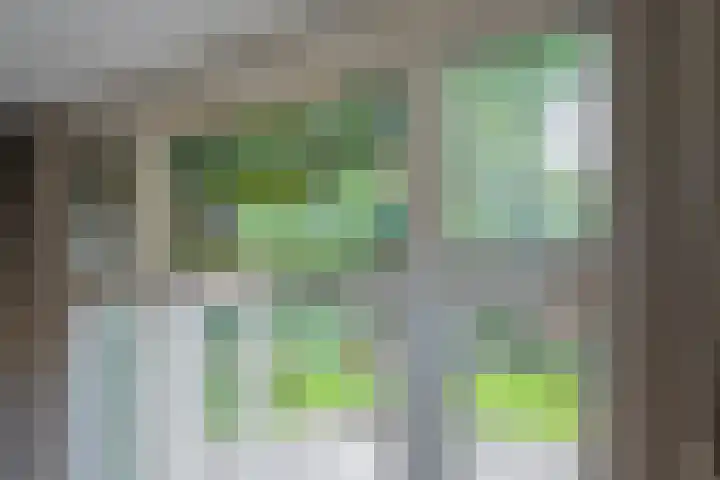 Gezichtslaan 4 Doorn thumbnail 16