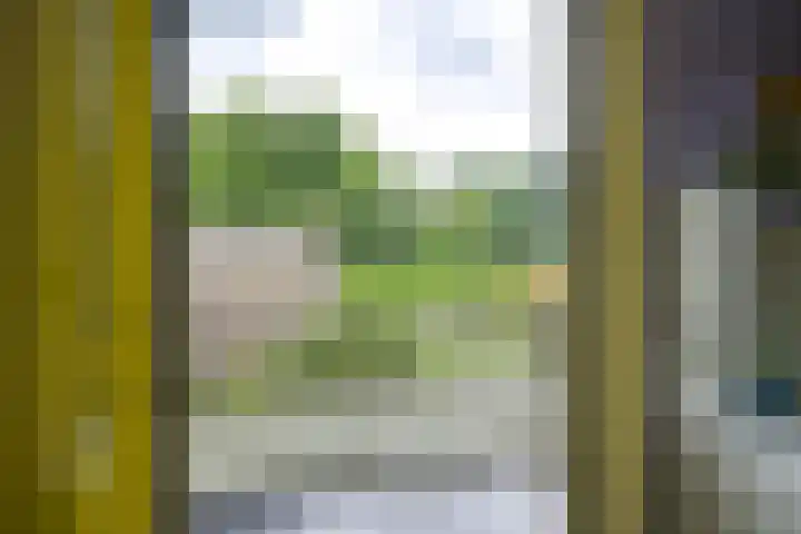 Gezichtslaan 4 Doorn thumbnail 18