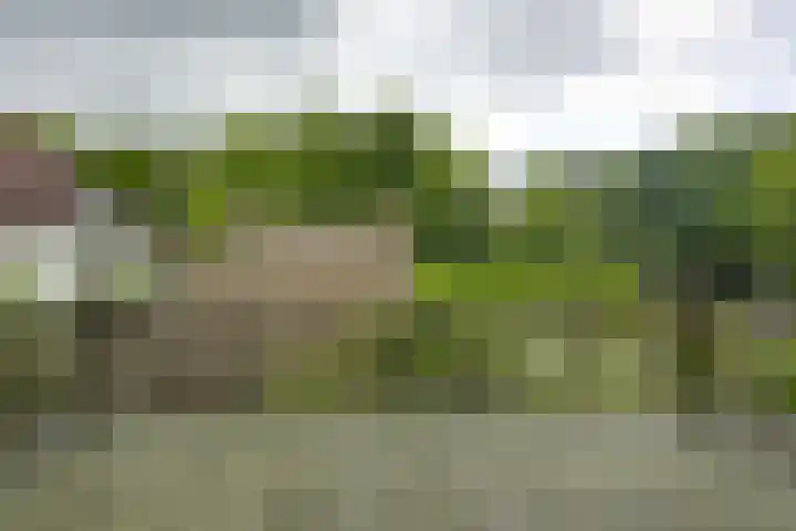 Gezichtslaan 4 Doorn thumbnail 19