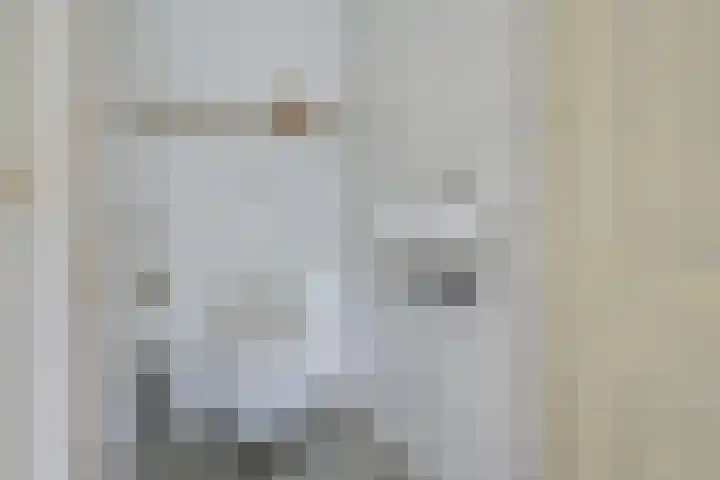 Gezichtslaan 4 Doorn thumbnail 29