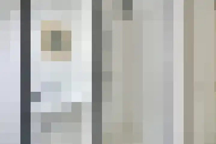 Gezichtslaan 4 Doorn thumbnail 33