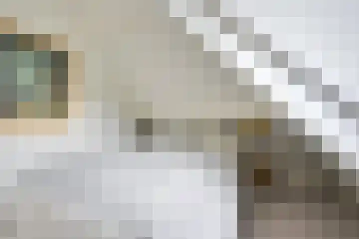 Gezichtslaan 4 Doorn thumbnail 36