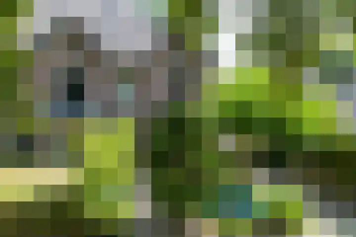 Gezichtslaan 4 Doorn thumbnail 38