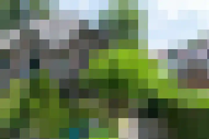 Gezichtslaan 4 Doorn thumbnail 39