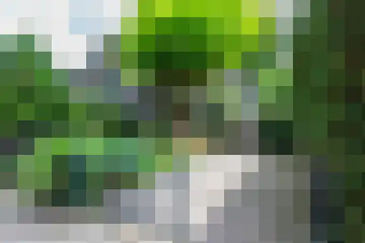 Gezichtslaan 4 Doorn thumbnail 40