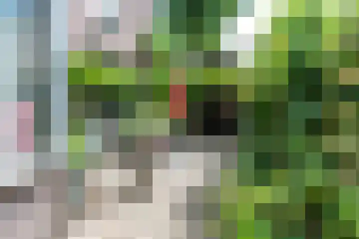Gezichtslaan 4 Doorn thumbnail 41