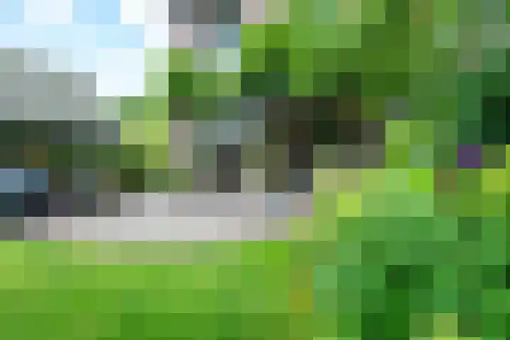Gezichtslaan 4 Doorn thumbnail 42