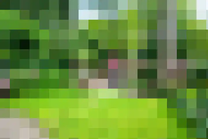 Gezichtslaan 4 Doorn thumbnail 43