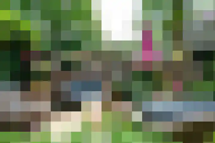 Gezichtslaan 4 Doorn thumbnail 44